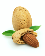 YES! Garden - Organic Lubricant Ingredients - Almond